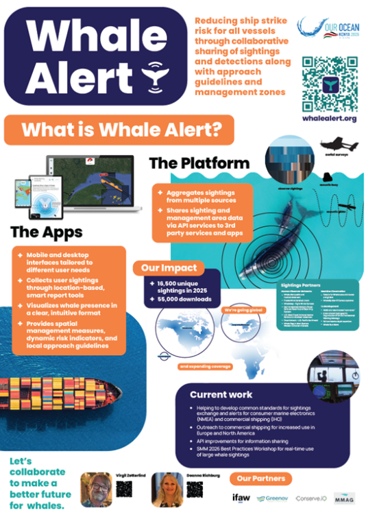Whale Alert